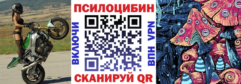 Купить где  Поворино  Псилоцибиновые грибы Magic Shrooms 
